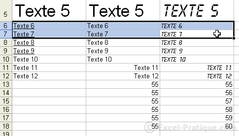 1 - bases3