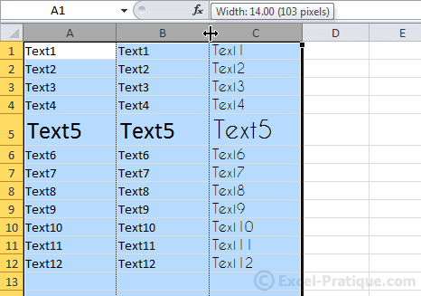 edit column width2 excel basics2