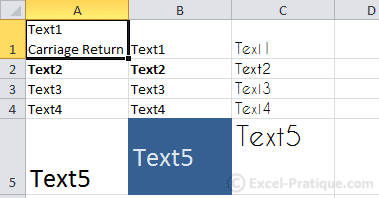 carriage return in cell excel basics4