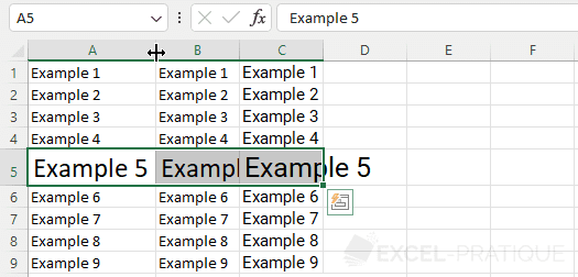 excel expand column a manipulations 2