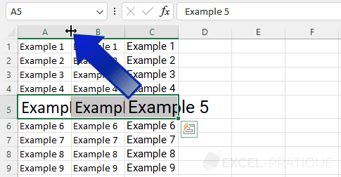 excel expand column manipulations 2