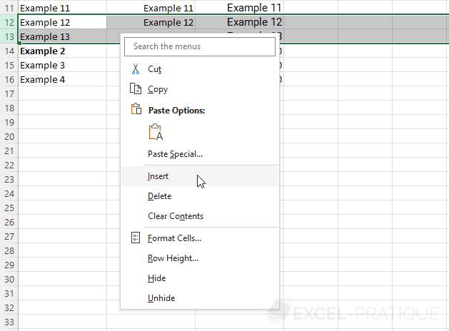 excel insert rows manipulations 5